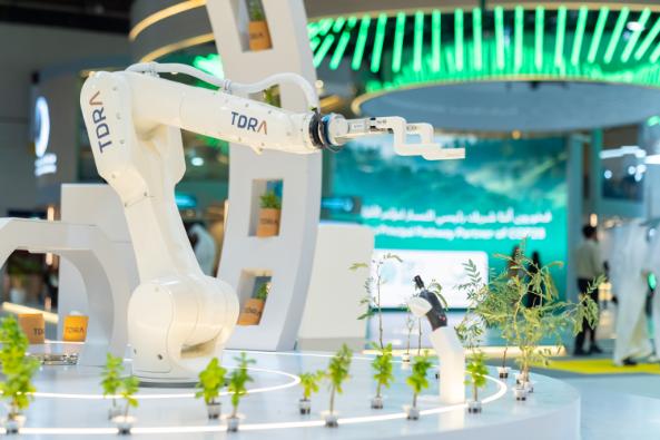 The Value of Working with Local Exhibition Stand Contractors at Major Venues